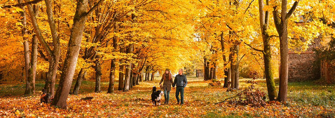 Autumn 2026